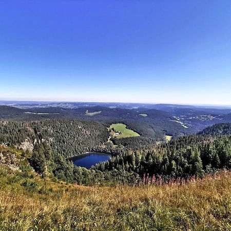 Residenz Grafenmatt "Abendsonne" Apartment Feldberg  Luaran gambar